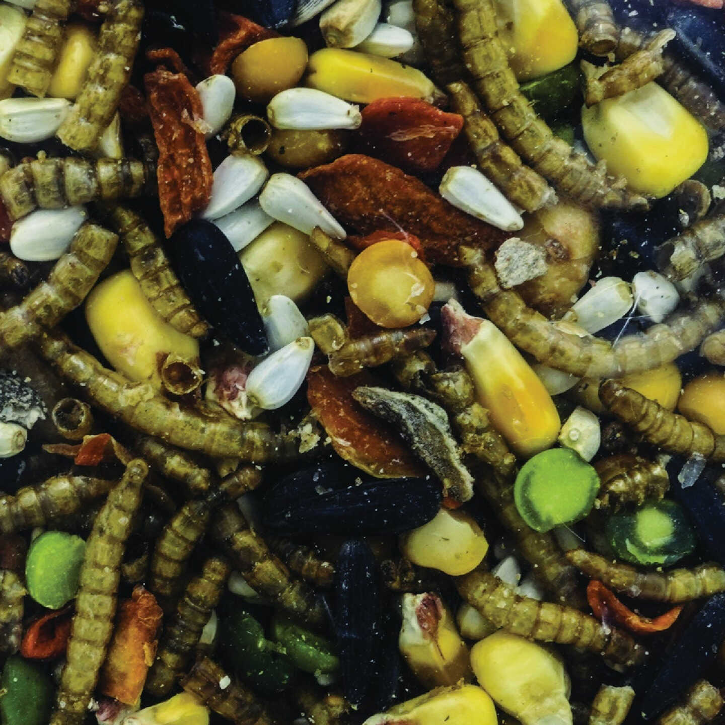 Wonder Garden Grub 6 Lb. Feed Supplement Image 2