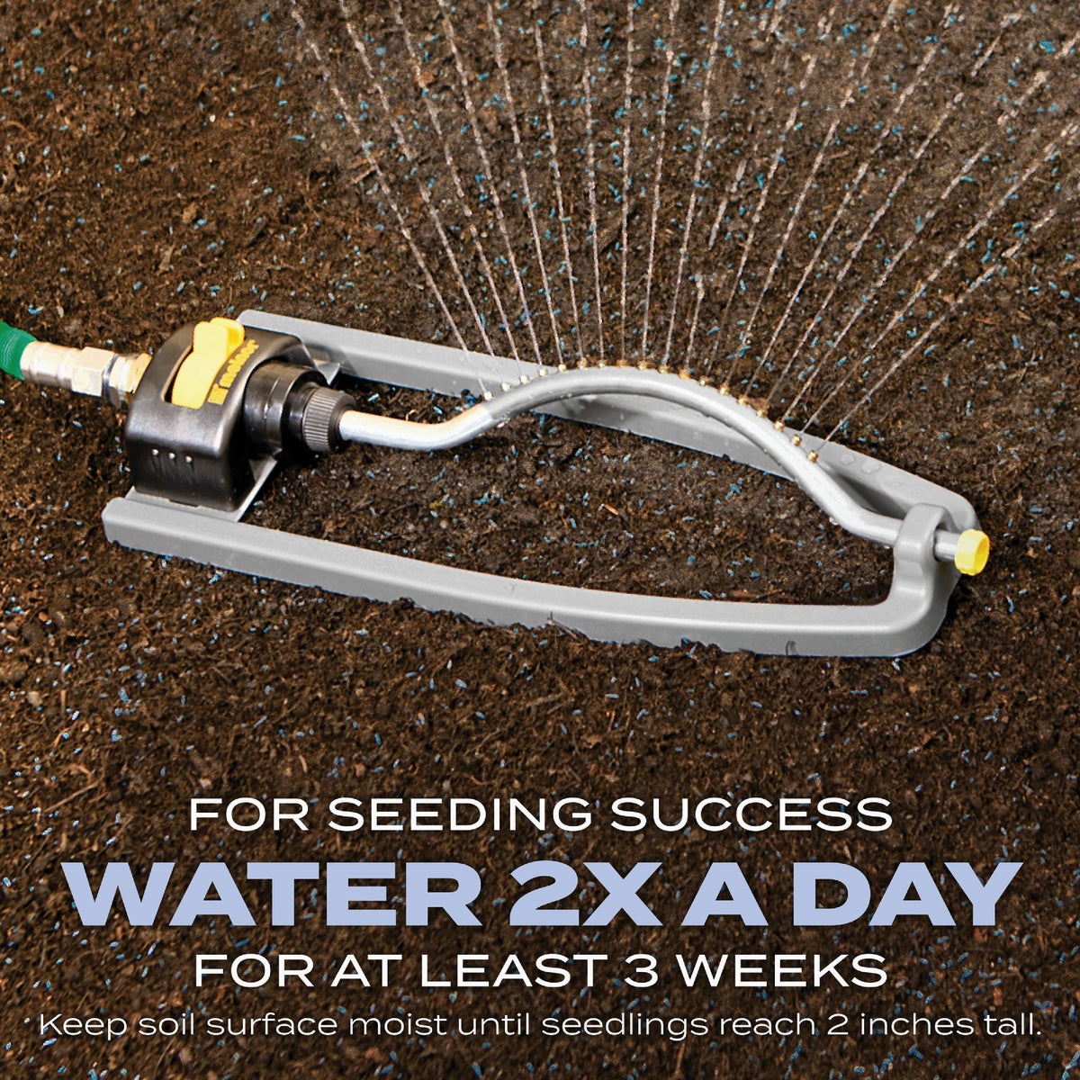 Scotts Turf Builder 2.4 Lb. 200 Sq. Ft. Heat-Tolerant Blue Mix For Tall Fescue Lawns Seed, Fertilizer, and Soil Improver Combination Image 7