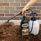 Spectracide Terminate 32 Oz. Concentrate Carpenter Ant & Termite Killer Image 2