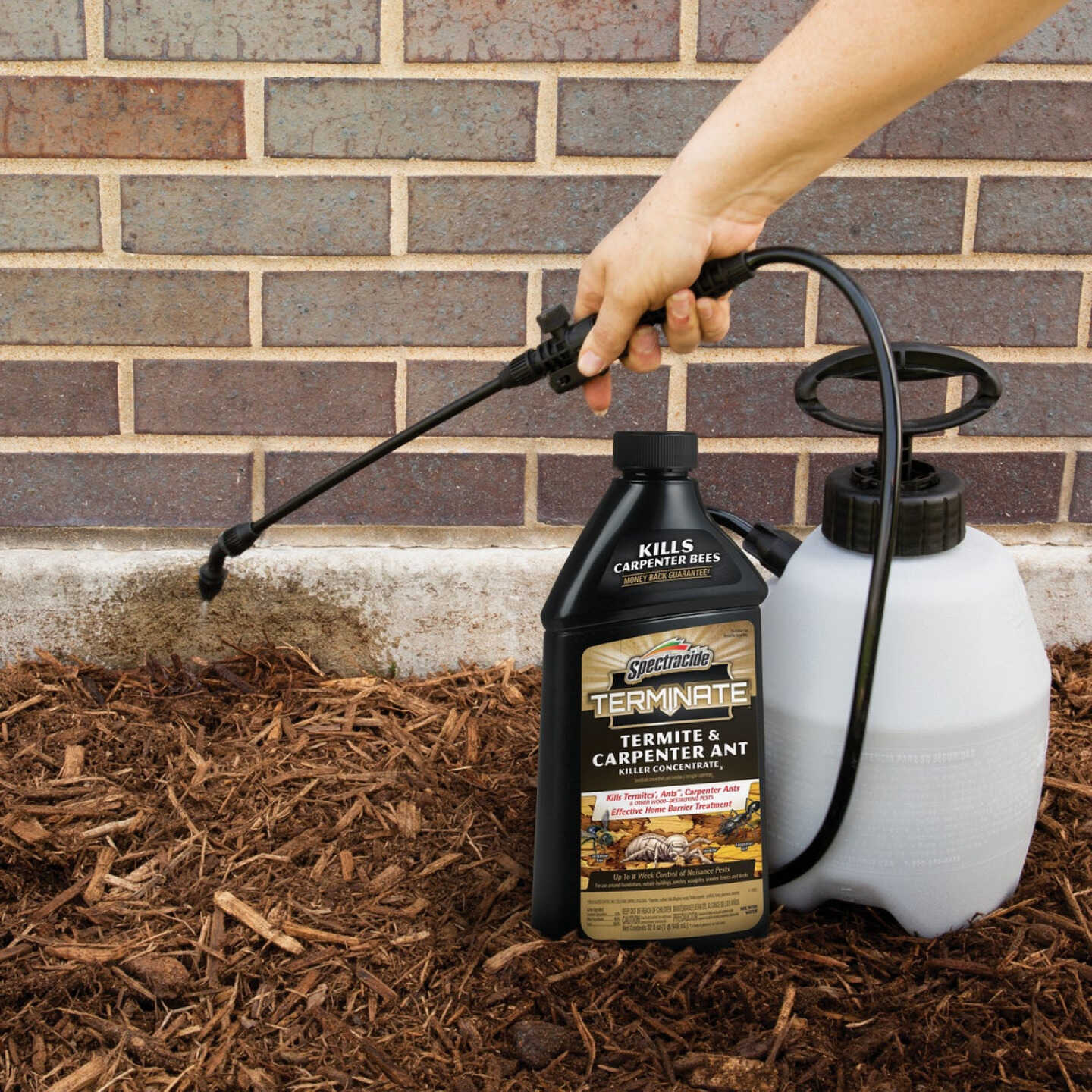 Spectracide Terminate 32 Oz. Concentrate Carpenter Ant & Termite Killer Image 2