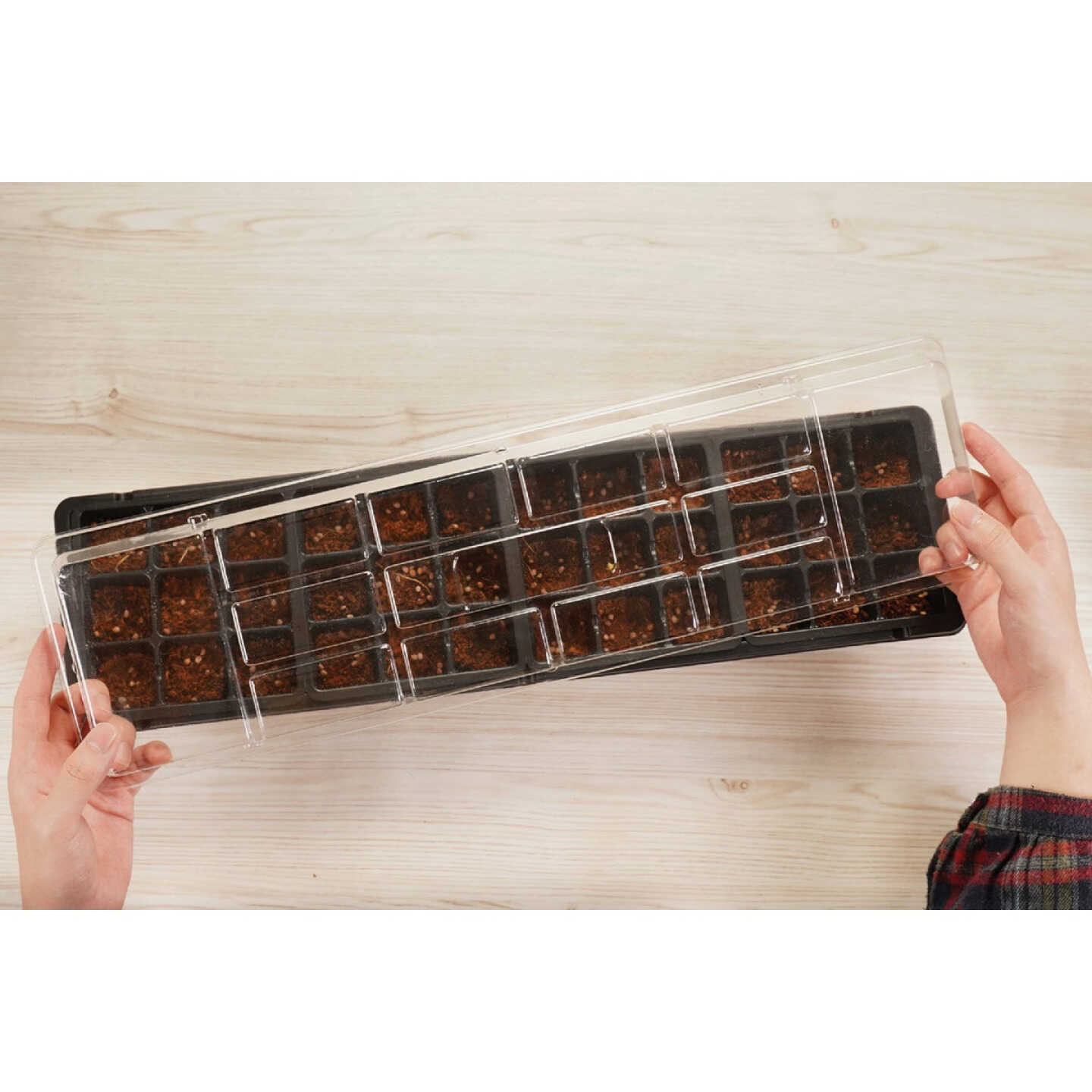 PlantBest 36-Cell Plastic Windowsill Greenhouse Seed Starter Kit Image 5