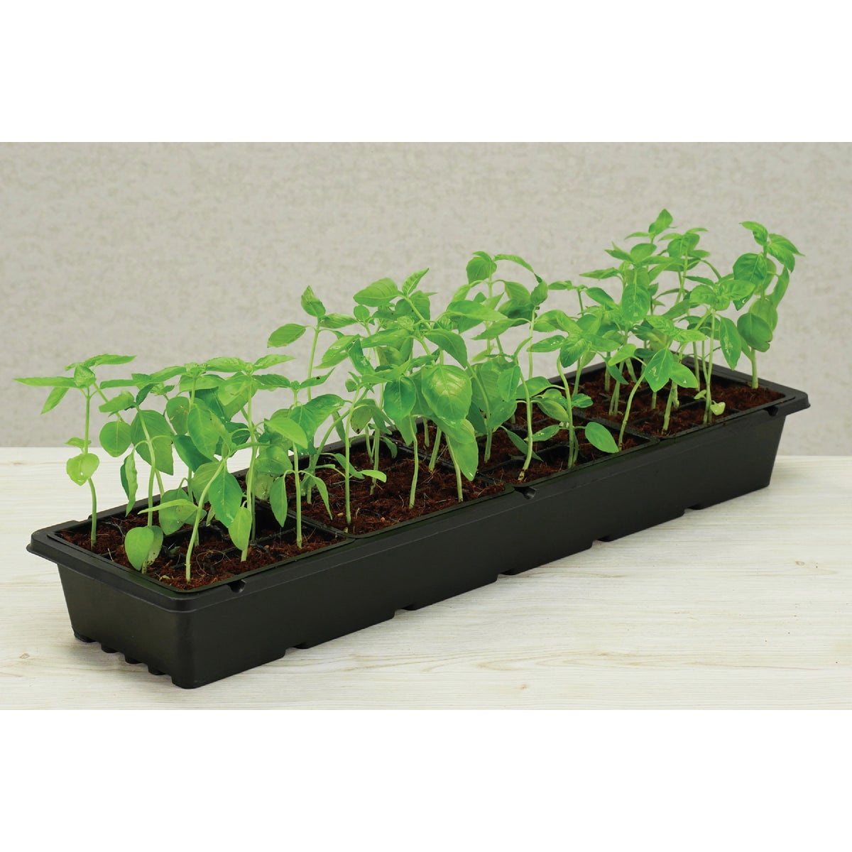 PlantBest 36-Cell Plastic Windowsill Greenhouse Seed Starter Kit Image 6