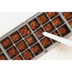 PlantBest 36-Cell Plastic Windowsill Greenhouse Seed Starter Kit Image 4