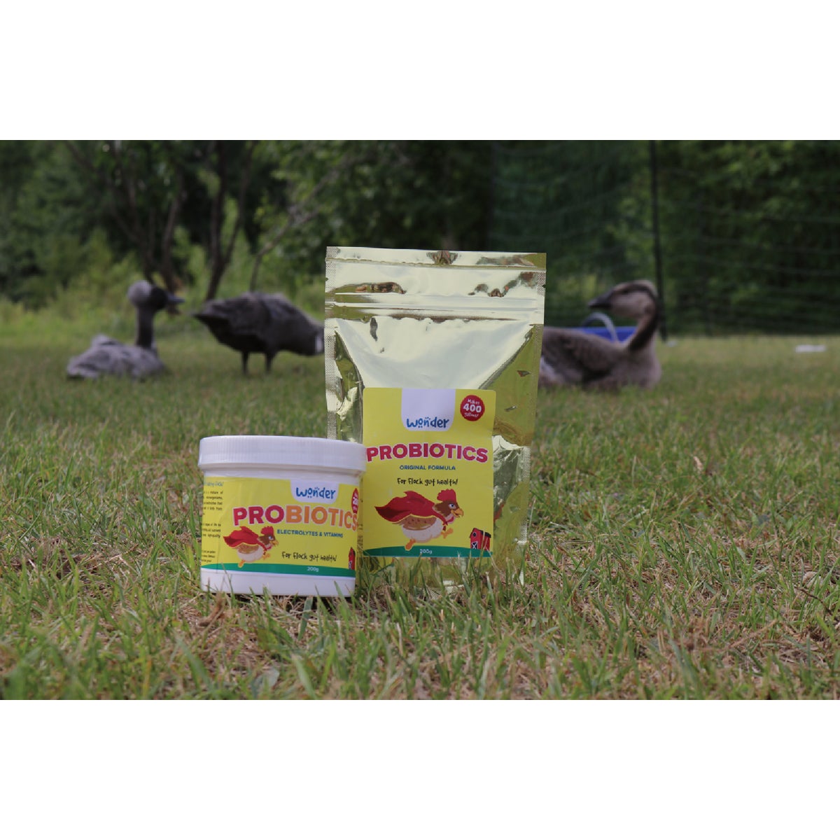 Wonder 200G Concentrate Probiotics Image 3