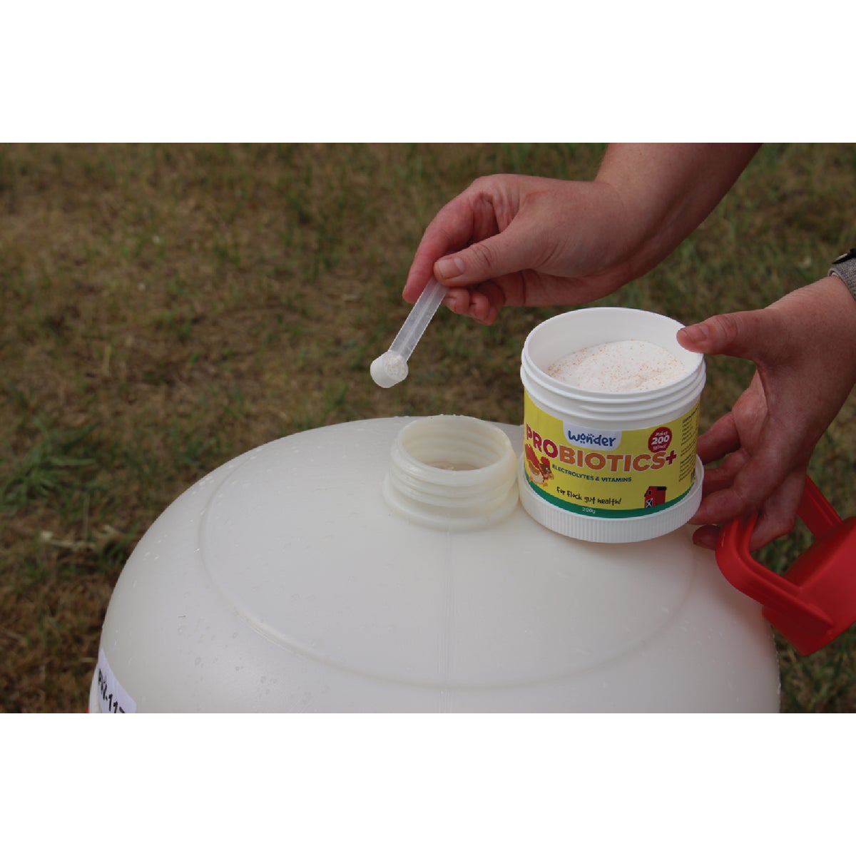 Wonder 200G Concentrate Probiotics Image 2