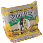 Suet Plus 11 Oz. Mealworms & Nuts Suet Image 1