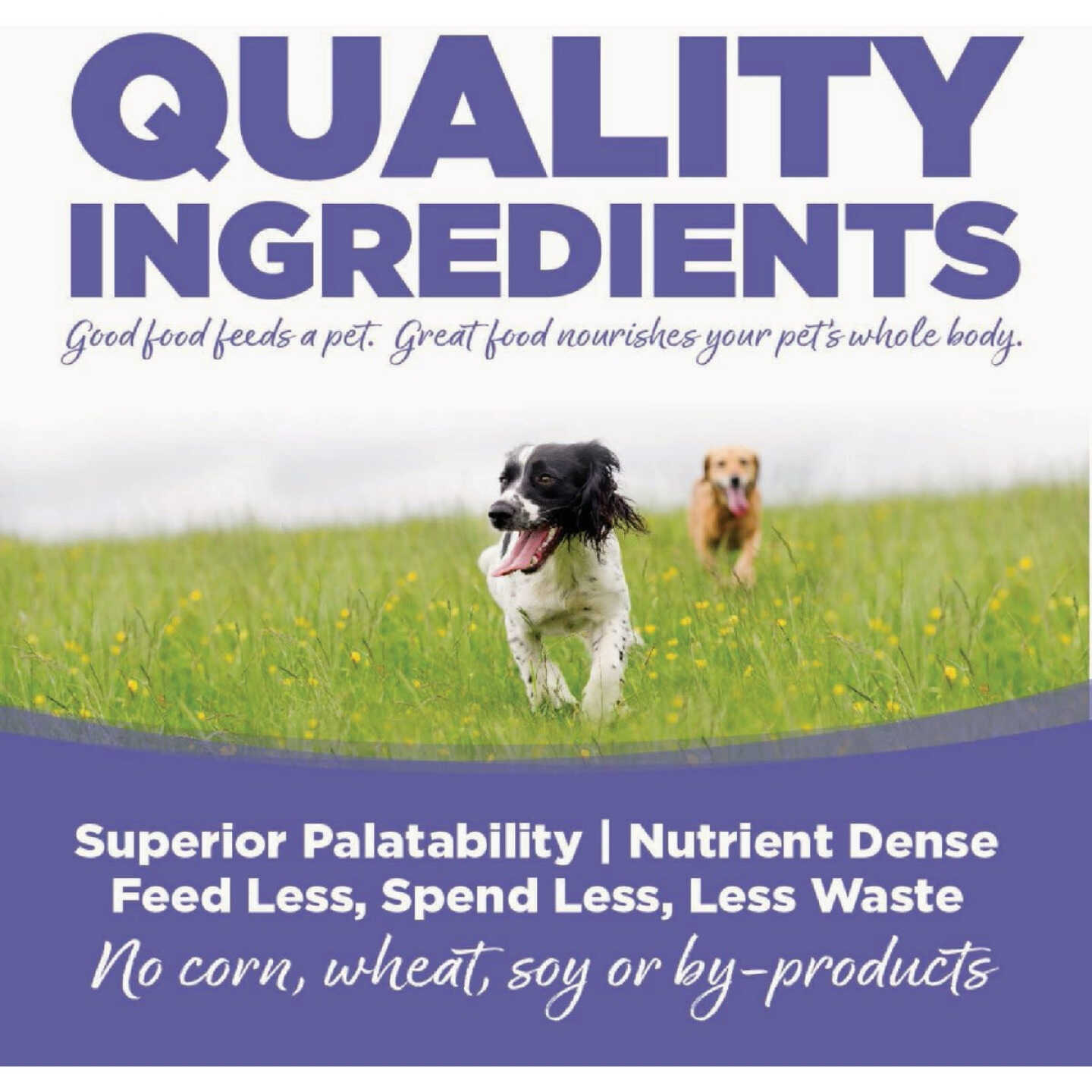 NutriSource 12 Lb. Weight Management Chicken & Chicken Meal Recipe Dog Food Image 2
