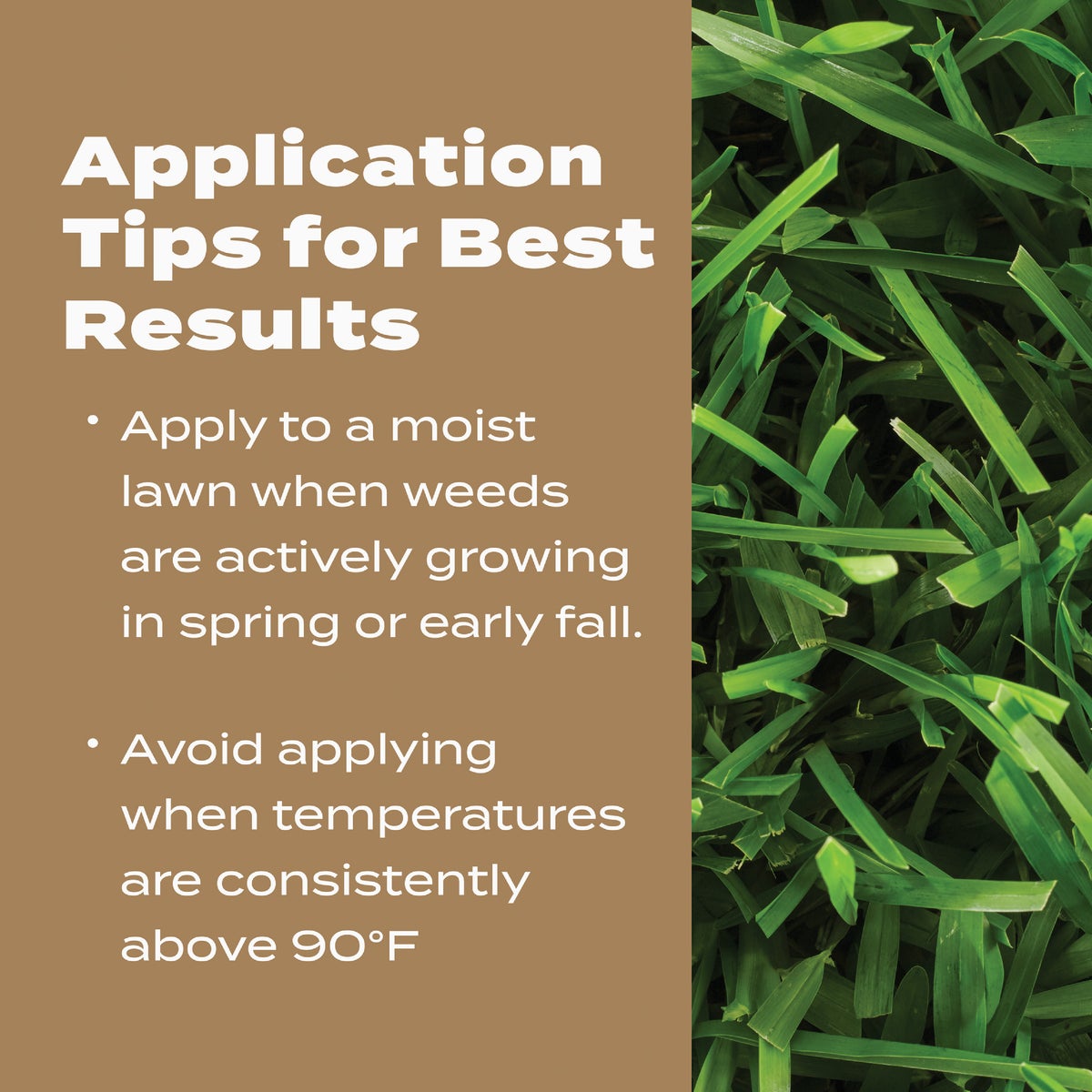 Scotts Turf Builder 22.4 Lb. 8000 Sq. Ft. 29-0-10 Weed & Feed for Texas Lawns Image 6