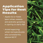 Scotts Turf Builder 22.4 Lb. 8000 Sq. Ft. 29-0-10 Weed & Feed for Texas Lawns Image 6