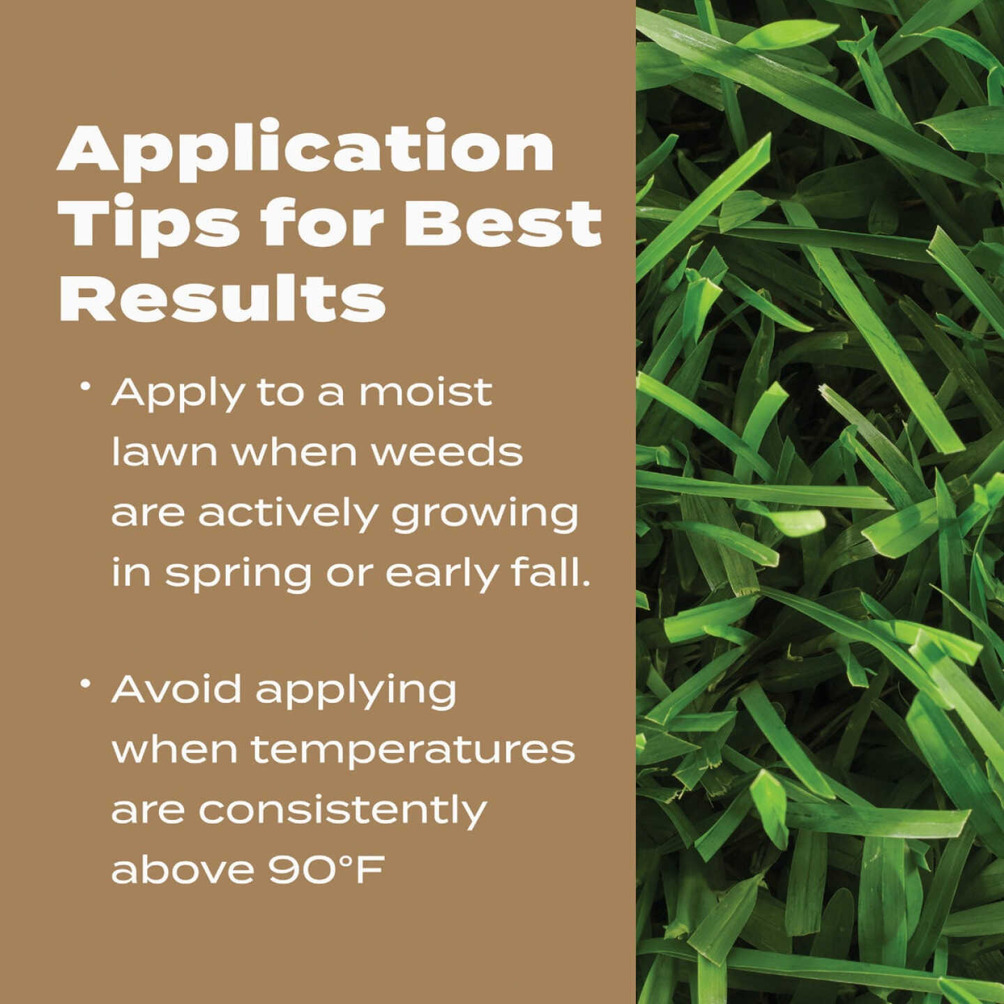 Scotts Turf Builder 22.4 Lb. 8000 Sq. Ft. 29-0-10 Weed & Feed for Texas Lawns Image 6