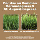 Scotts Turf Builder 22.4 Lb. 8000 Sq. Ft. 29-0-10 Weed & Feed for Texas Lawns Image 3