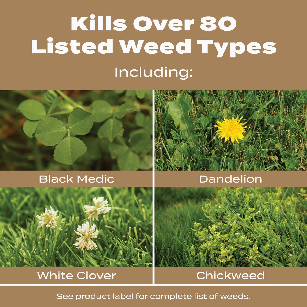 Scotts Turf Builder 22.4 Lb. 8000 Sq. Ft. 29-0-10 Weed & Feed for Texas Lawns Image 4