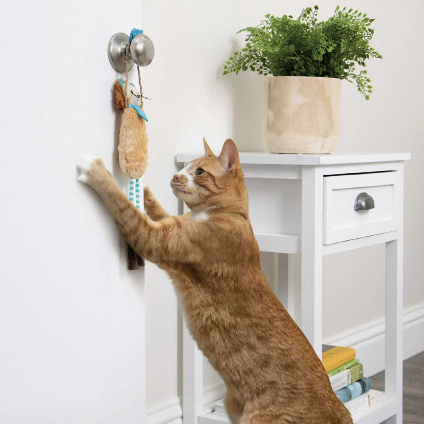 SmartyKat Loopy Lion Door Hanging Breakaway Kicker Catnip Cat Toy Image 2