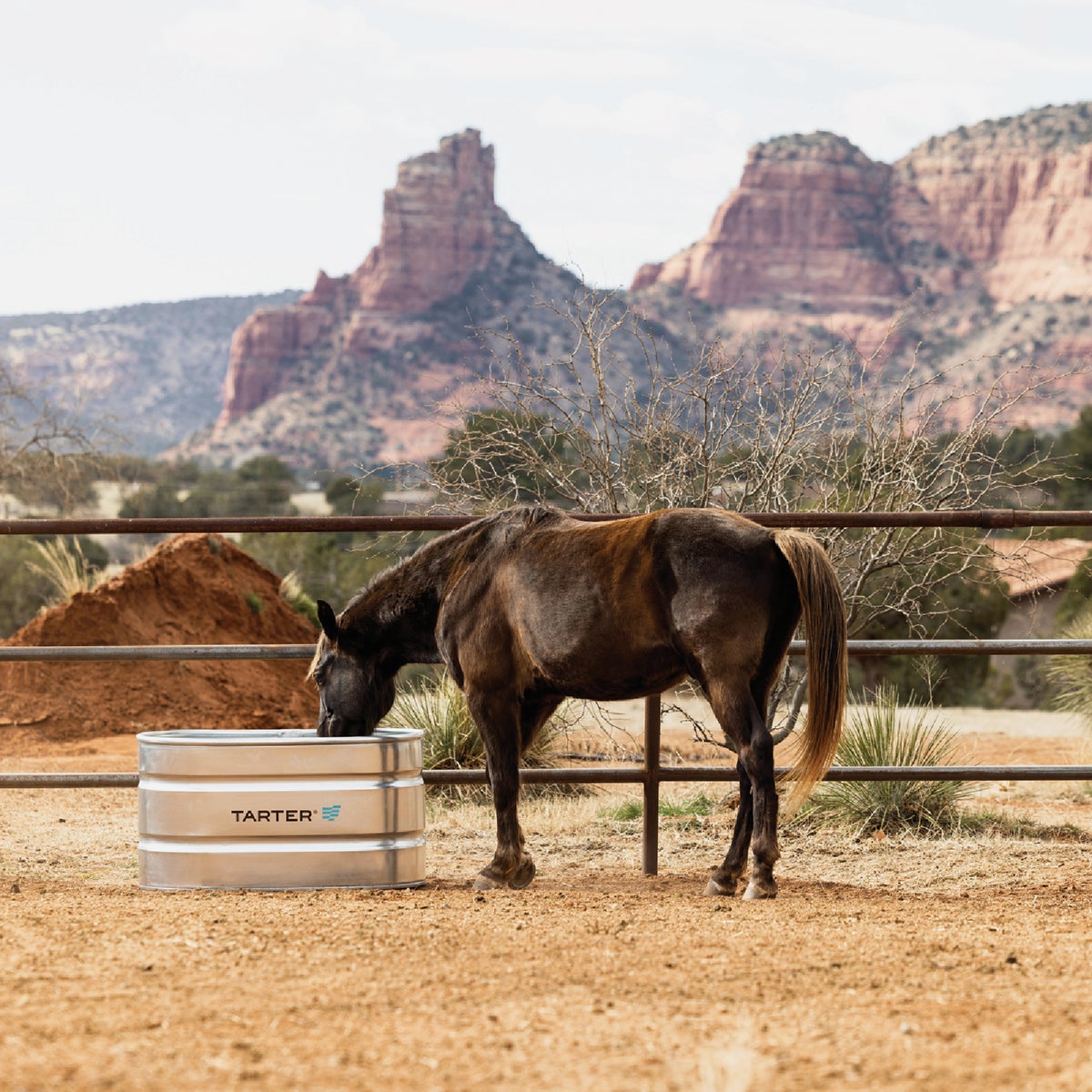 Tarter 100 Gal. Zinc-Coated Steel Galvanized Stock Tank Image 3