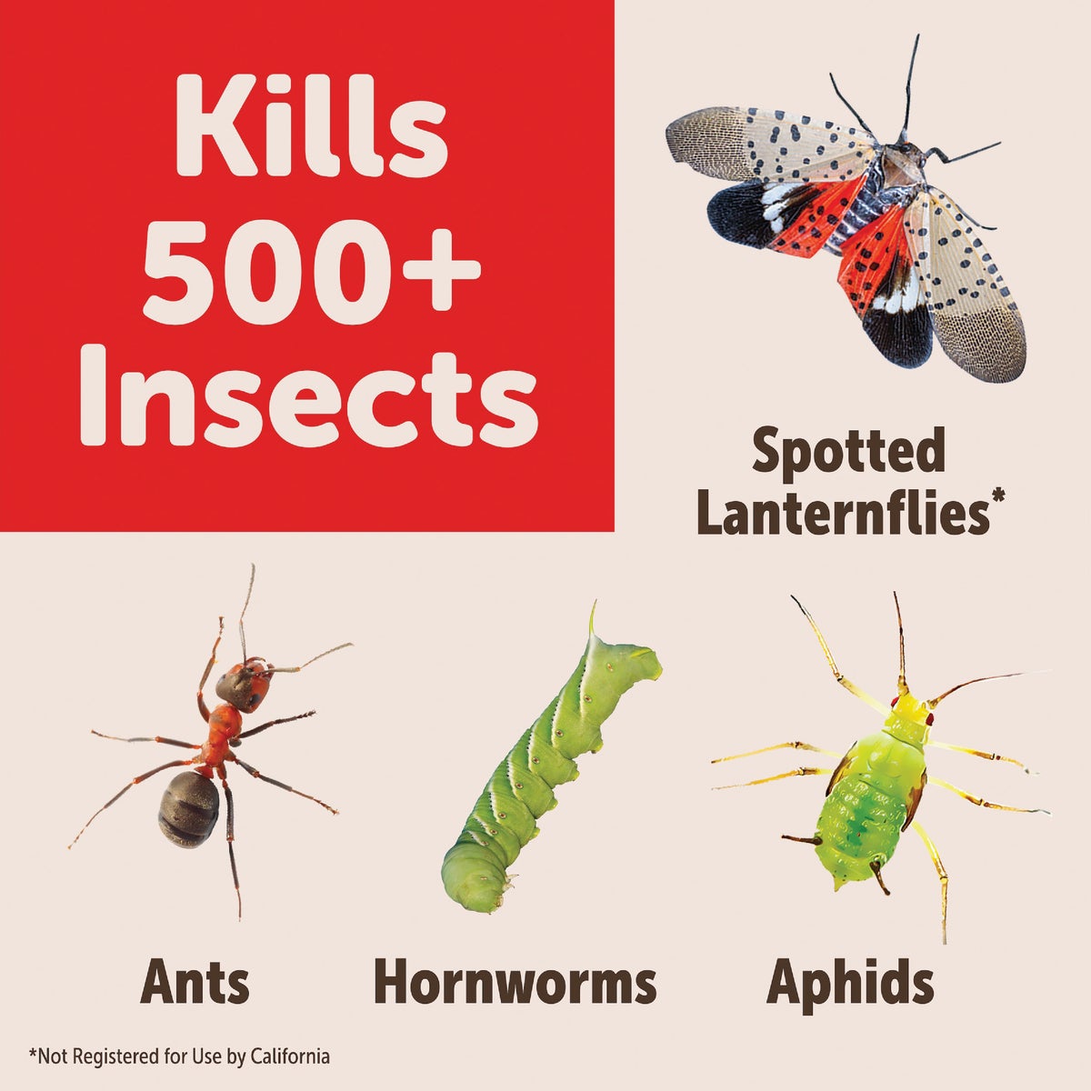 Garden Tech Sevin 16 Oz. Concentrate Insect Killer Image 2