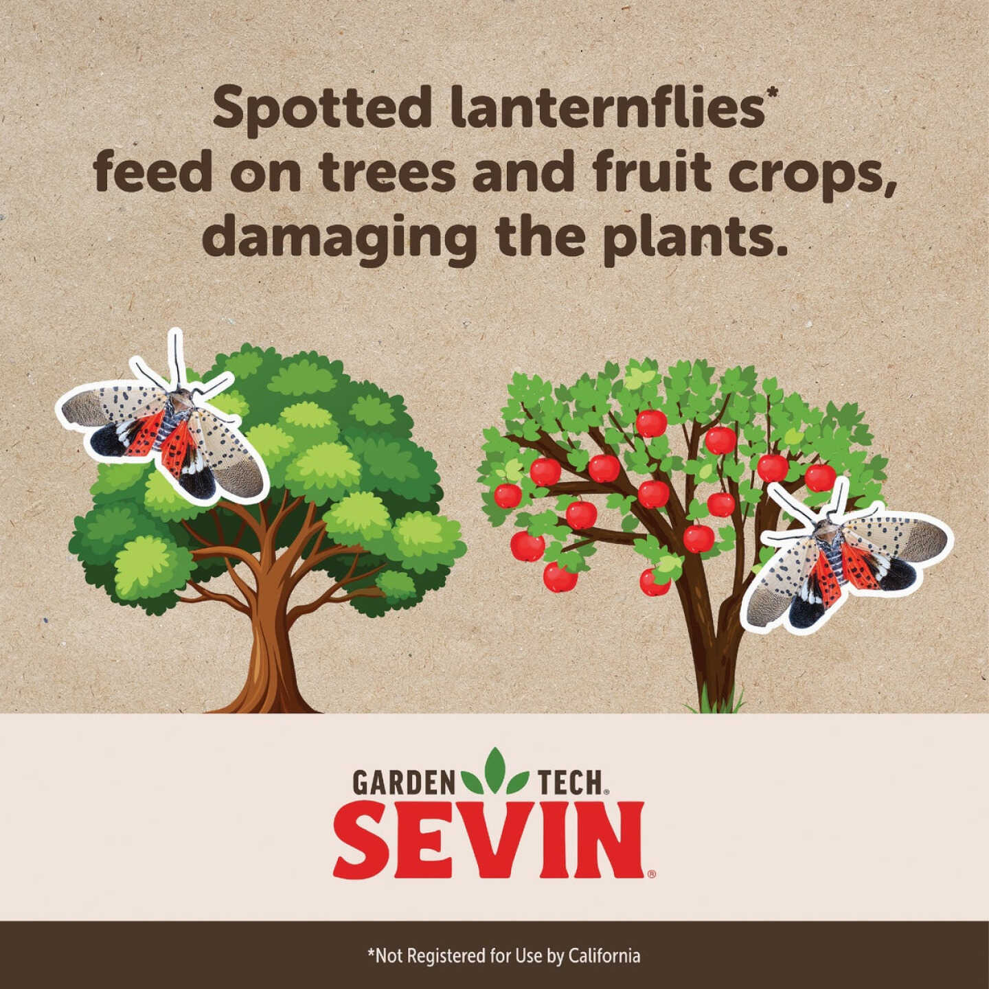 Garden Tech Sevin 16 Oz. Concentrate Insect Killer Image 3