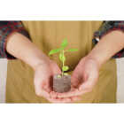 PlantBest Jumbo Coir Pellet Refill (50-Pack) Image 3