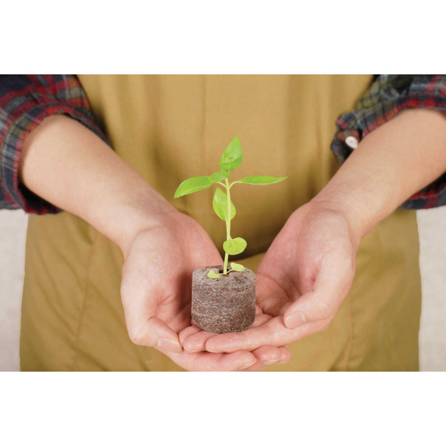 PlantBest Jumbo Coir Pellet Refill (50-Pack) Image 3