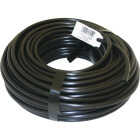 Raindrip 1/4 In. X 100 Ft. Black Poly Primary Drip Tubing Image 1