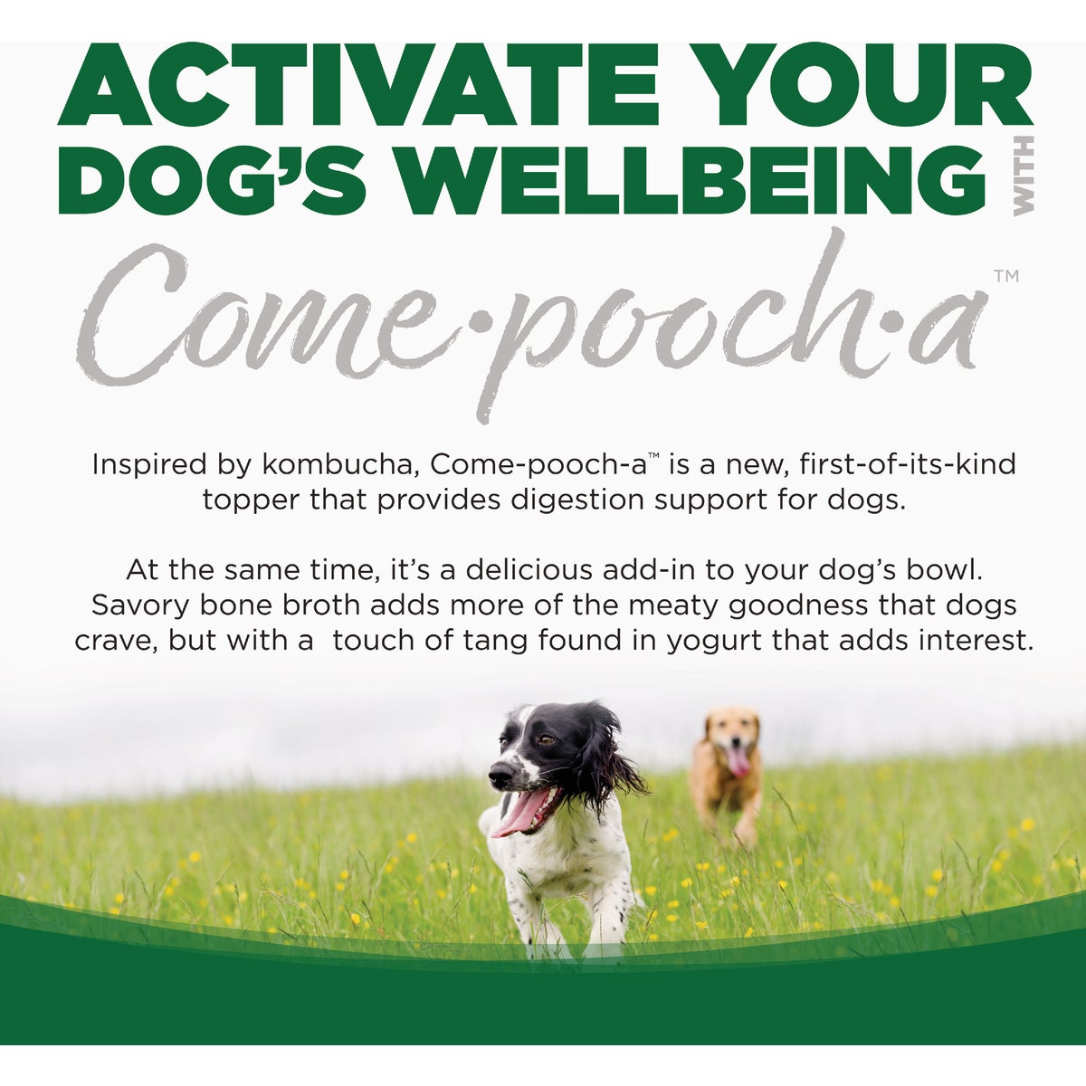 NutriSource Come-Pooch-a 12 Oz. Turkey Bone Broth Recipe Image 6