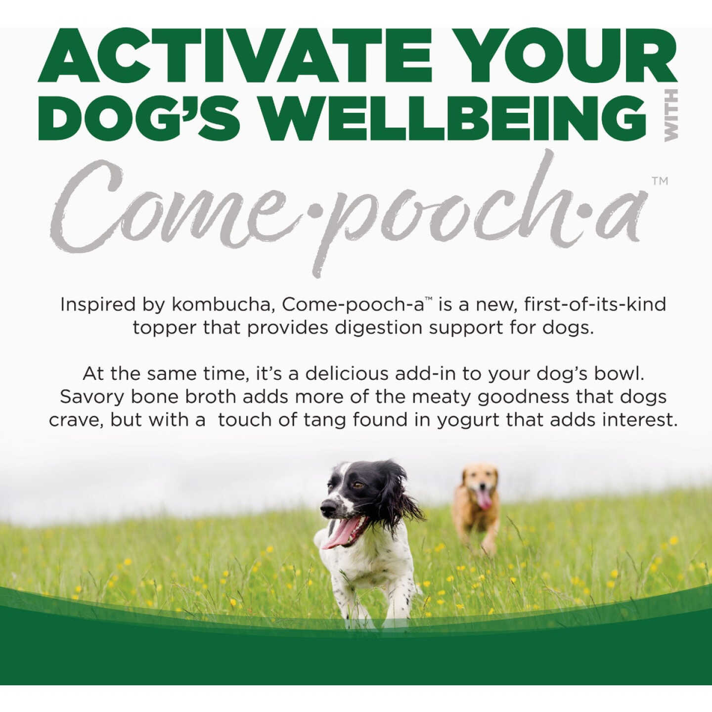 NutriSource Come-Pooch-a 12 Oz. Turkey Bone Broth Recipe Image 6