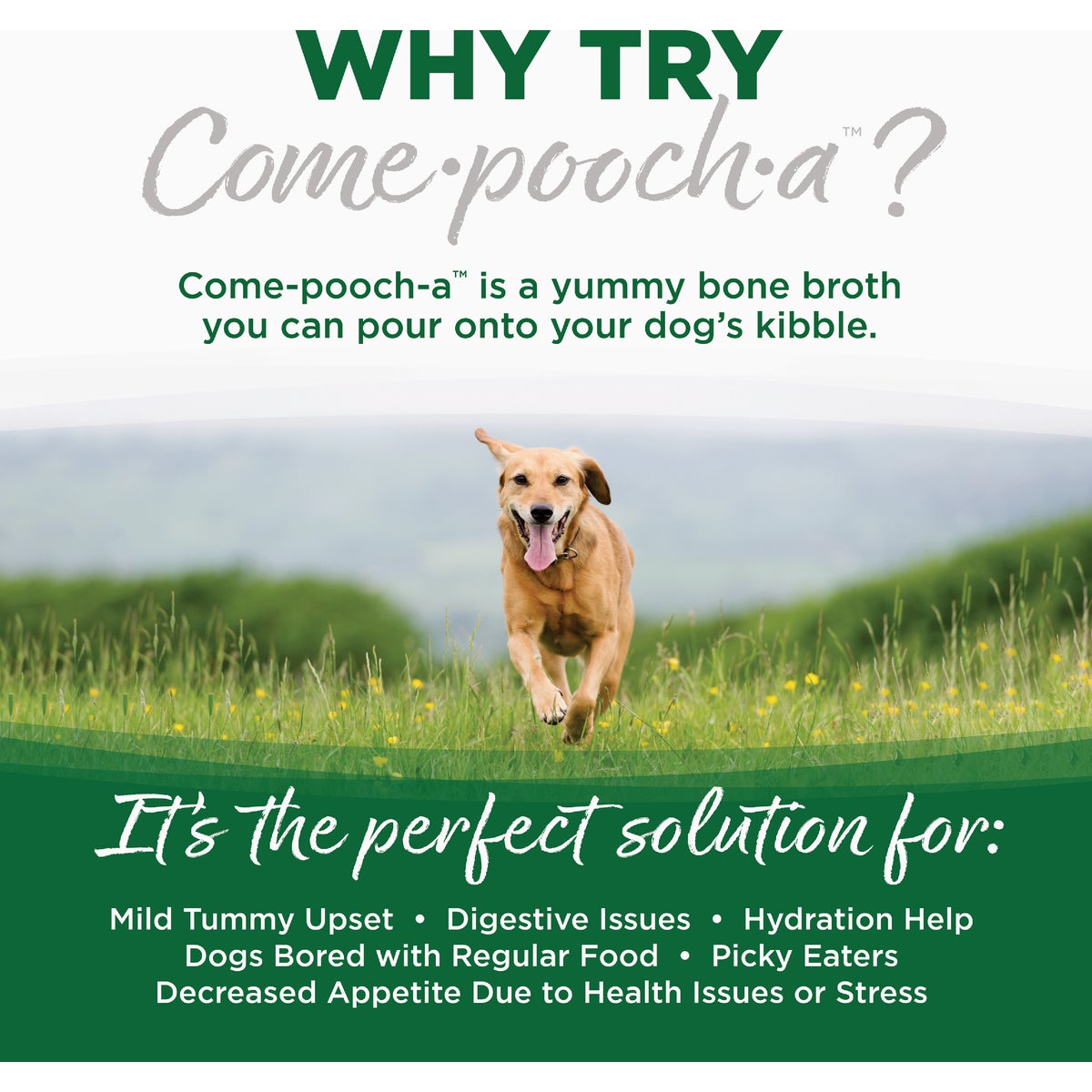 NutriSource Come-Pooch-a 12 Oz. Turkey Bone Broth Recipe Image 4