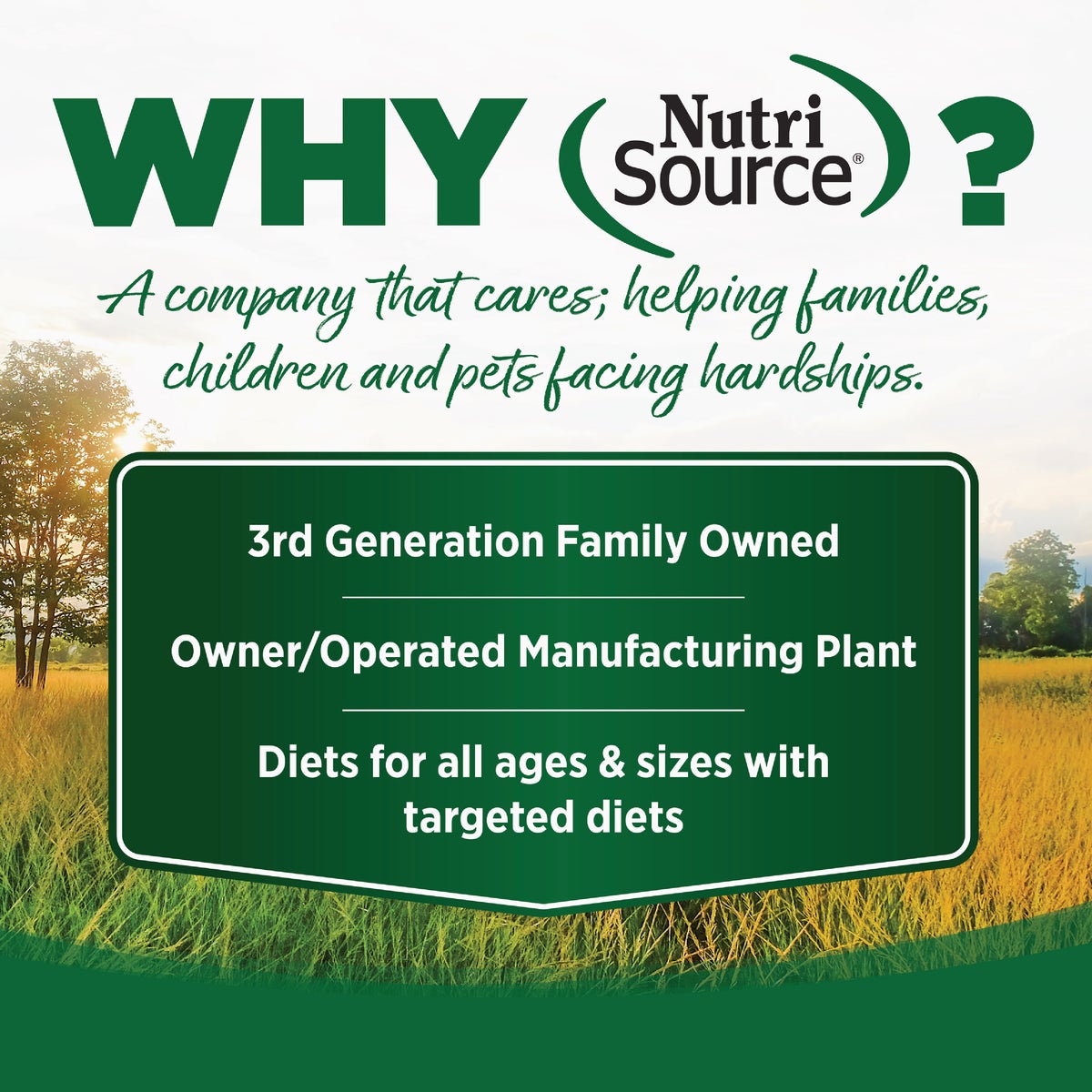 NutriSource Come-Pooch-a 12 Oz. Turkey Bone Broth Recipe Image 5