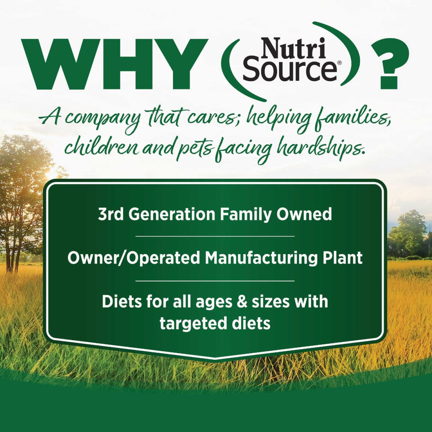 NutriSource Come-Pooch-a 12 Oz. Turkey Bone Broth Recipe Image 5