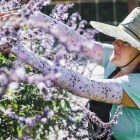 Farmers Defense Carnations Defeat Breast Cancer Protection Sleeves, Large/XL Image 3