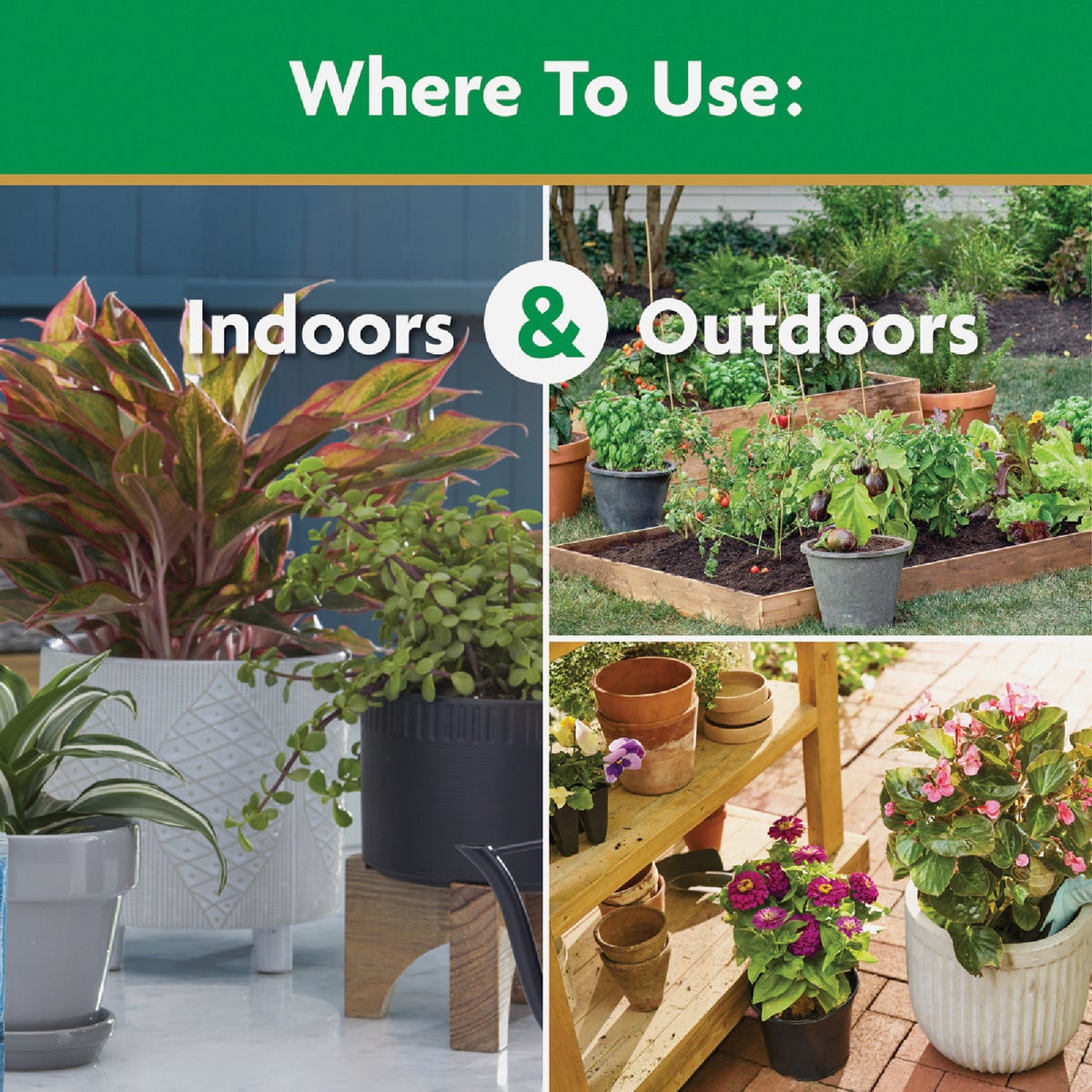 Miracle-Gro 10 Lb. Water Soluble All Purpose Plant Food Image 5