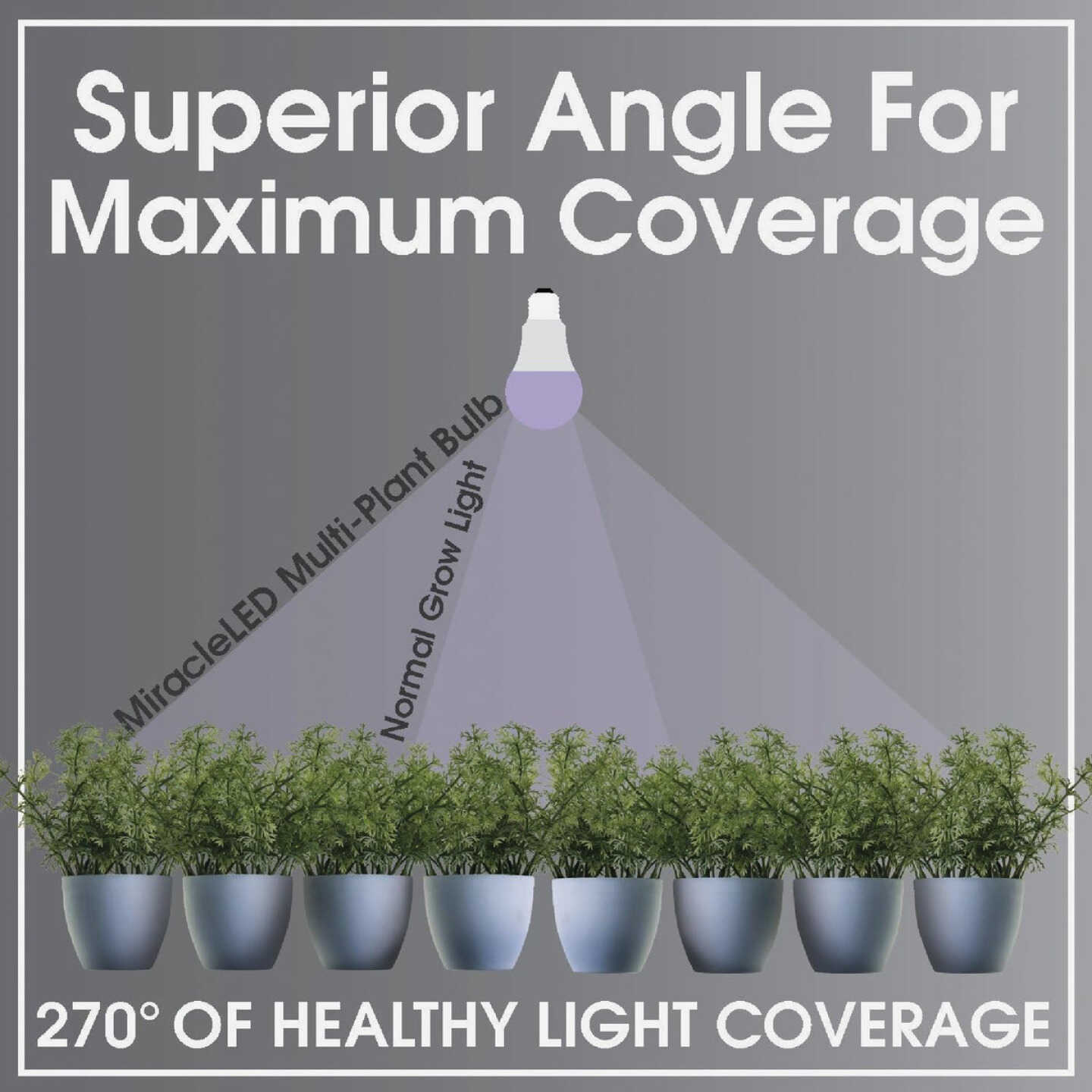 Miracle LED Kitchen Gardener 9W LED Grow Light Kit with SproutMatic Timer Image 4