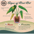 Sol Soils 2 Qt. Orchid Chunky Mix Image 5