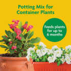 Miracle-Gro 8 Qt. Container Plant Potting Mix Image 3