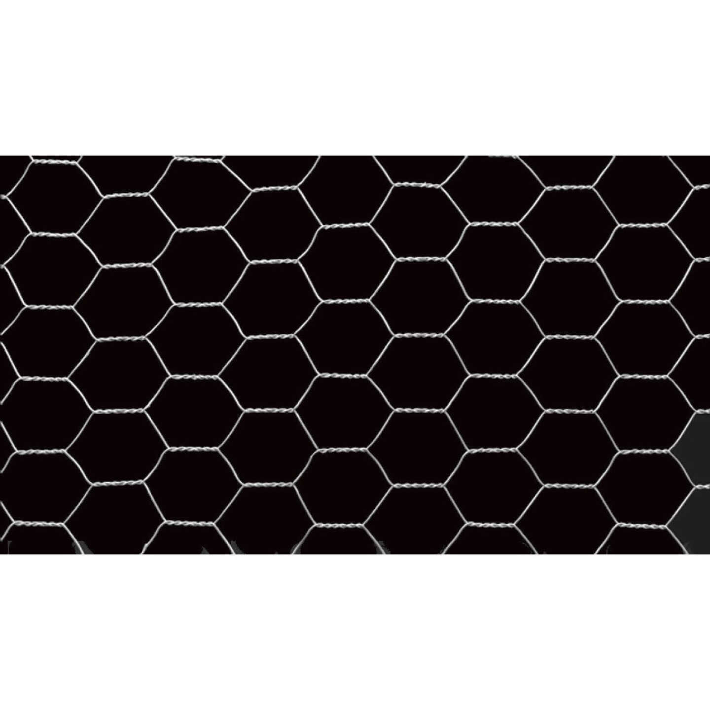 1/2 In. x 36 In. H. x 10 Ft. L. Hexagonal Wire Poultry Netting Image 4