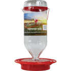 Humdinger 32 Oz. Glass Hummingbird Feeder Image 2