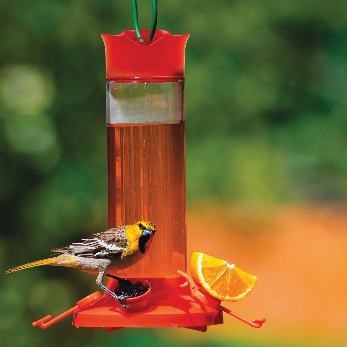 Perky-Pet 27 Oz. Plastic Vine Oriole Feeder Image 2