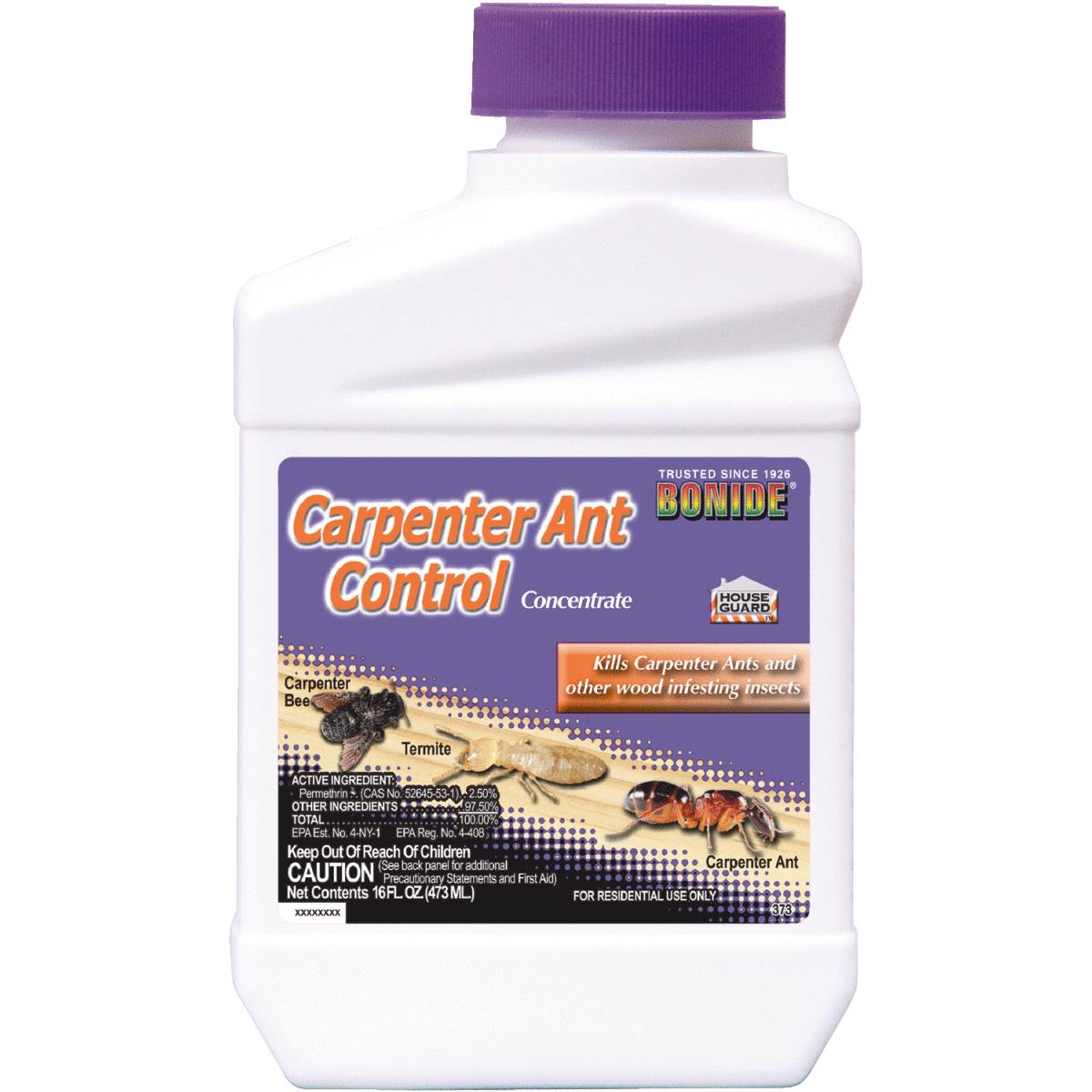 PT CON CARPNT.ANT KILLER