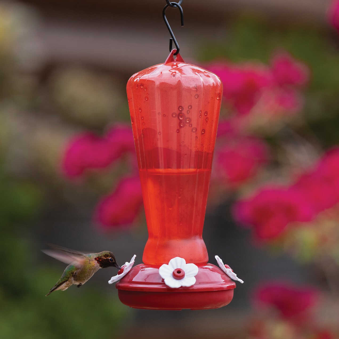 More Birds 25 Oz. Plastic Hollyhock Hummingbird Feeder Image 2