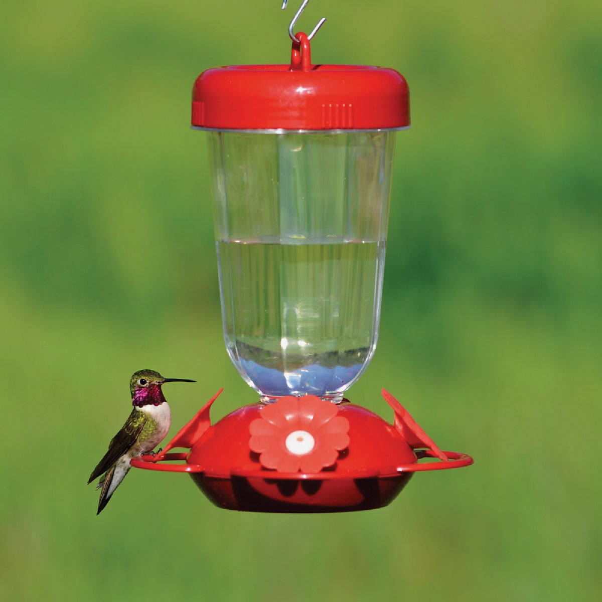 More Birds 30 Oz. Glass Deluxe Hummingbird Feeder Image 2
