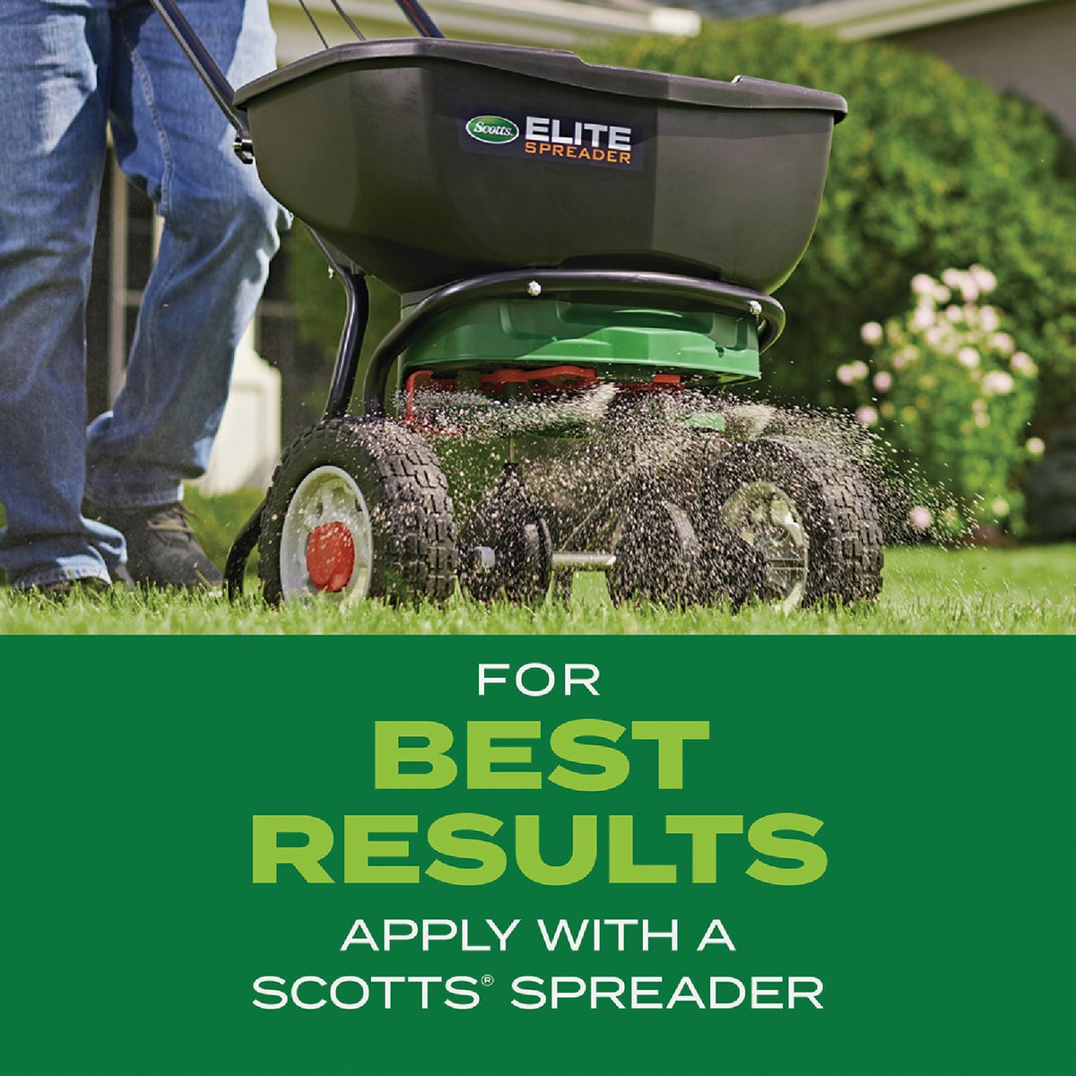 Scotts Turf Builder Rapid Grass 16 Lb. 5280 Sq. Ft. Tall Fescue Mix Grass Seed & Fertilizer Combination Image 7