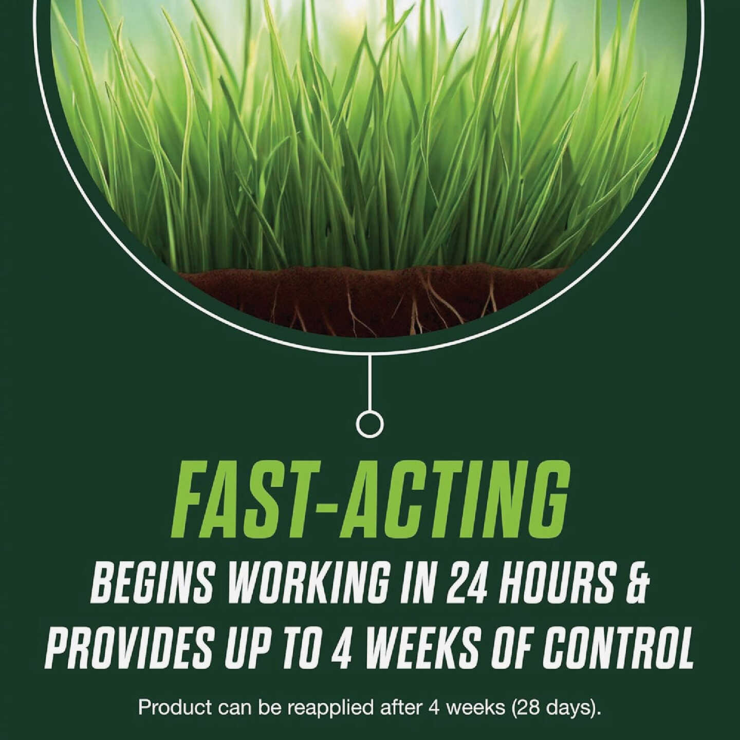 Scotts Turf Builder Healthy Plus Lawn Food FL 4000 Sq. Ft. 2-In-1 Fungicide & Fertilizer Image 7