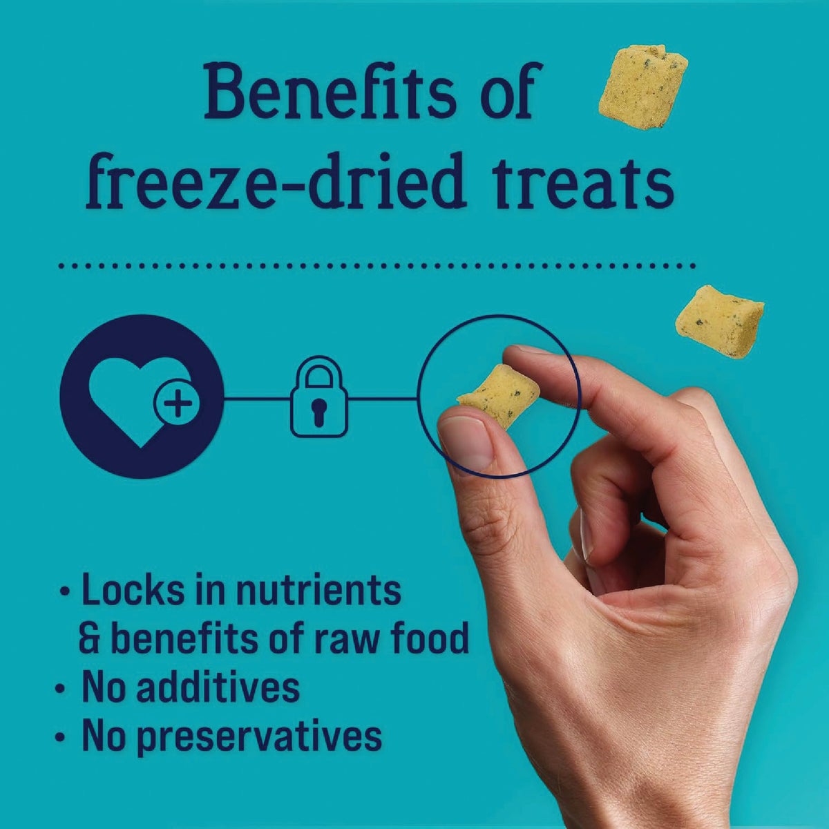 Stewart Shine 4 Oz. Freeze-Fried Salmon & Sweet Potato Dog Treat Image 3