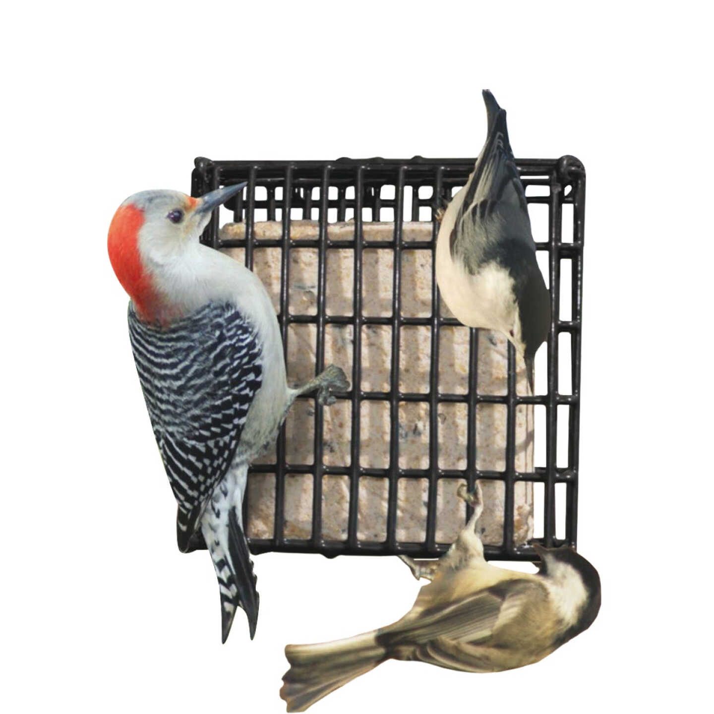 Cadet Chewalicious Chewy 'N Crunchy Medium Chicken Spiral Dog Treat (3-Count) Image 2