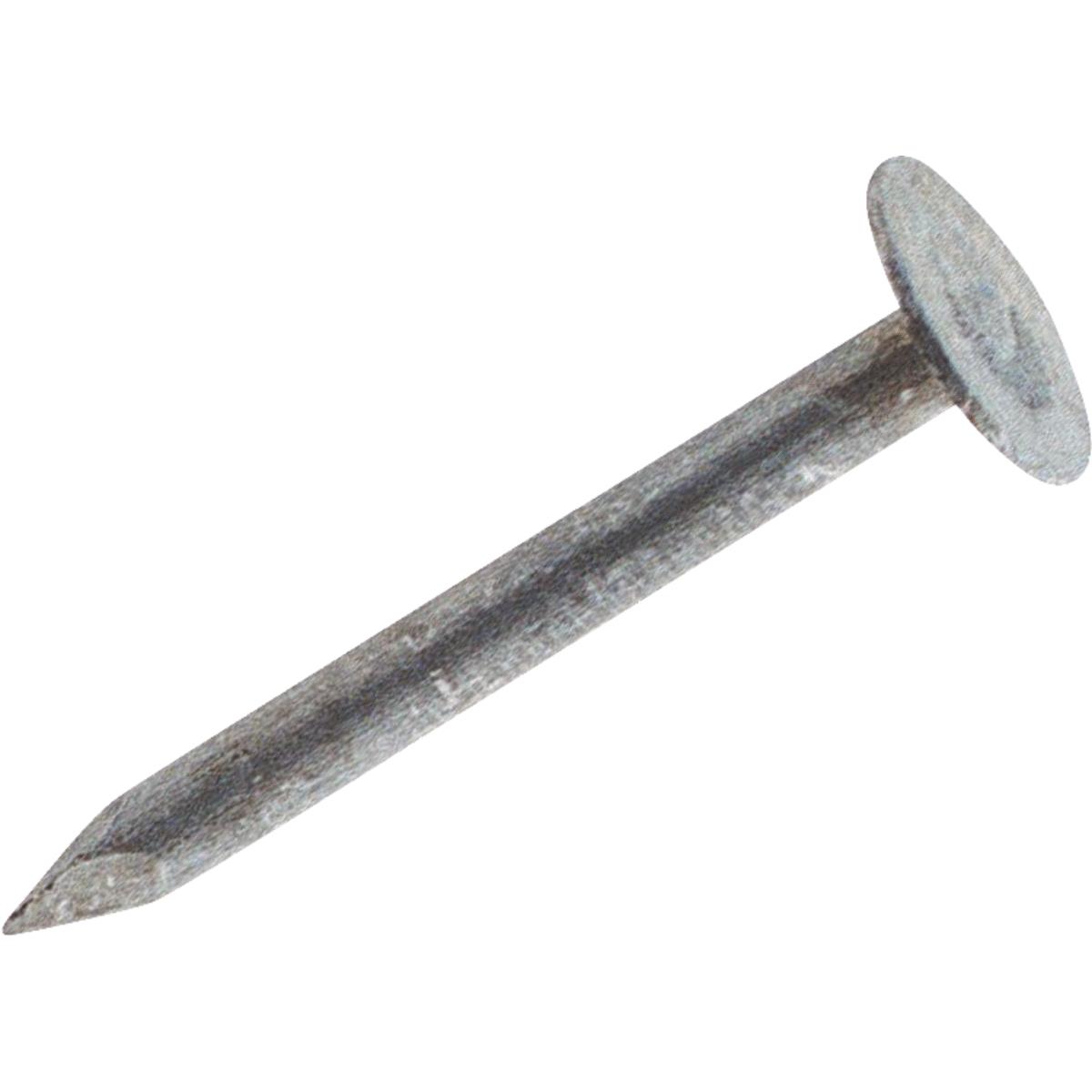 5LB 3/4" EG ROOF NAIL Image 1