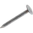5LB 3/4" EG ROOF NAIL Image 1