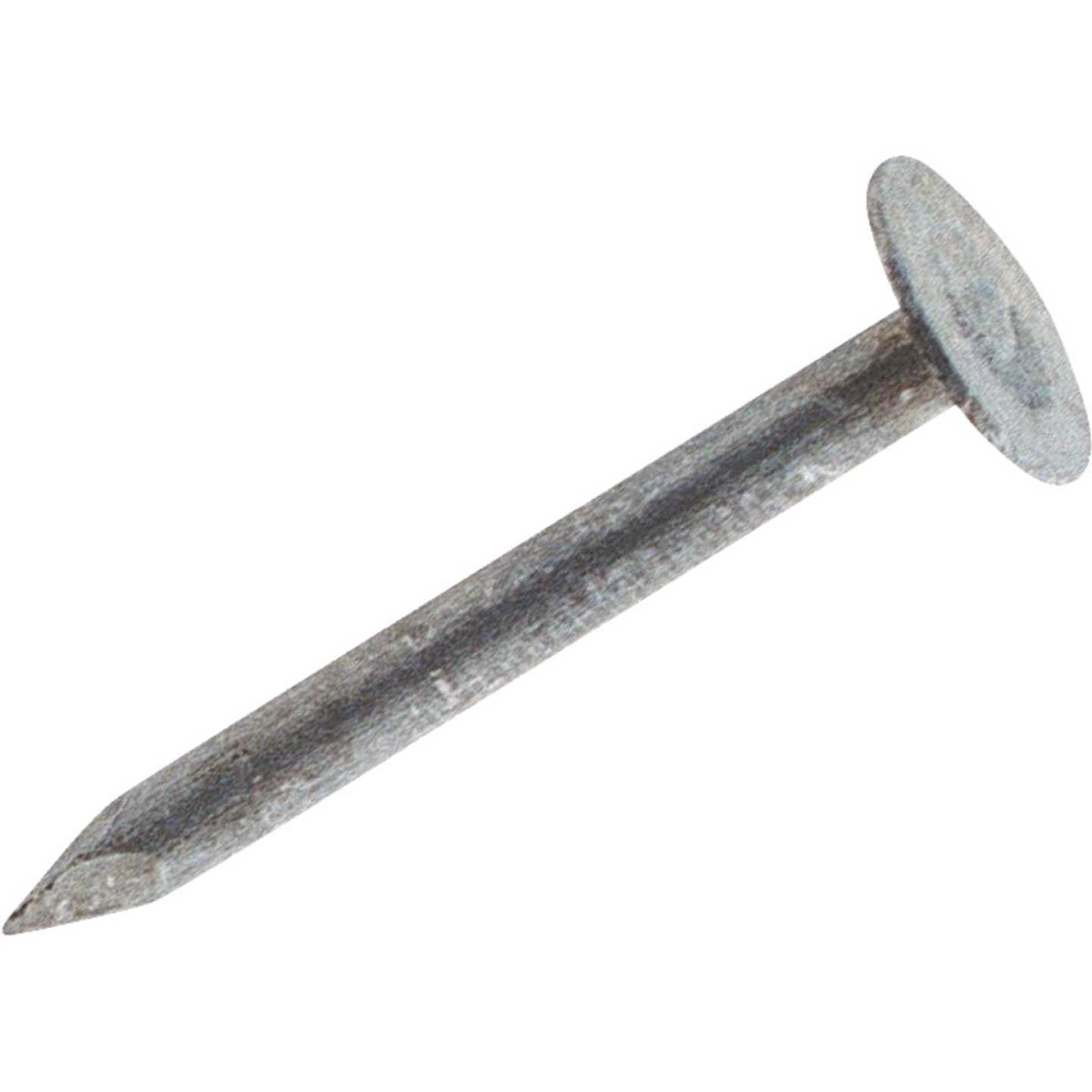 5LB 3/4" EG ROOF NAIL Image 1