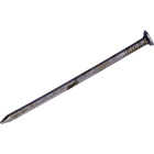 Maze 16d x 3-1/4 In. Vinyl Coated Sinker Framing Nails (64 Ct., 1 Lb.) Image 1