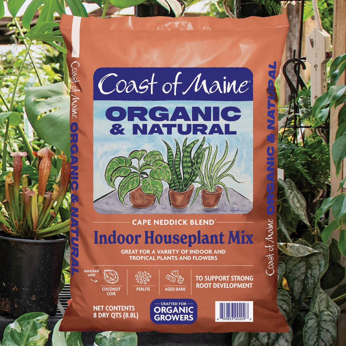 Coast of Maine Cape Neddick Blend 8 Qt. Indoor Houseplant Mix Image 2