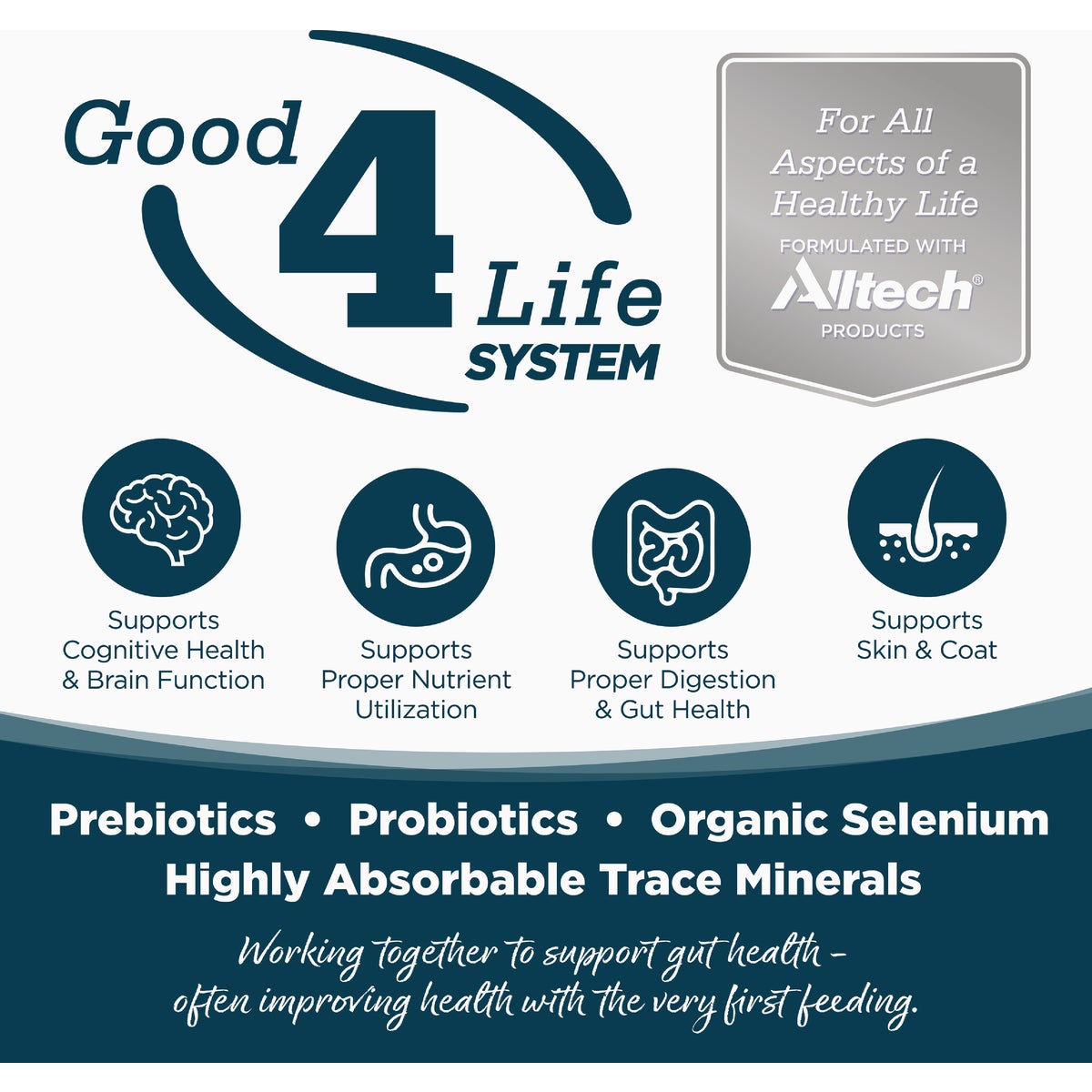 NutriSource 4 Lb. Chicken & Rice Recipe Small Bites Dog Food Image 2