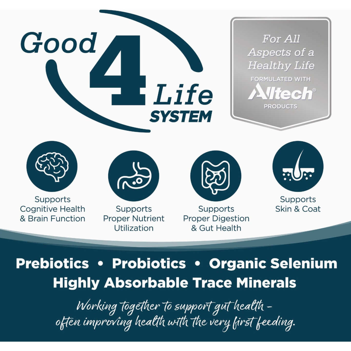 NutriSource 4 Lb. Chicken & Rice Recipe Small Bites Dog Food Image 2